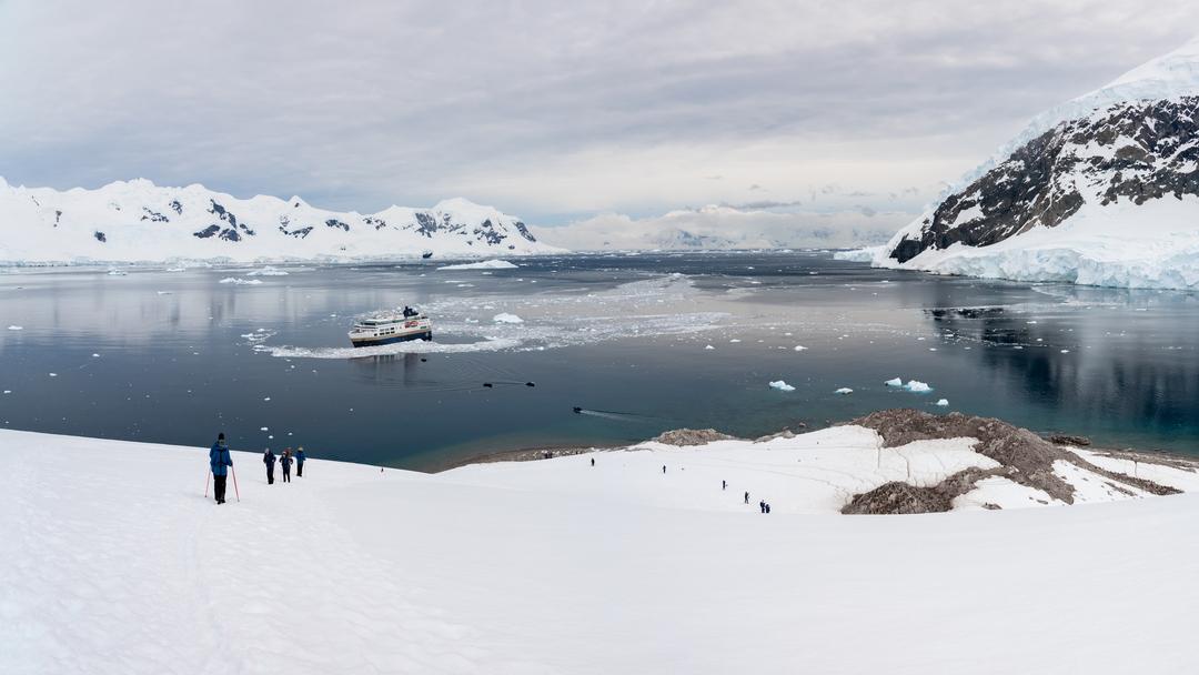 Antarctica & Falklands Expedition Cruise with HX Expeditions - background banner